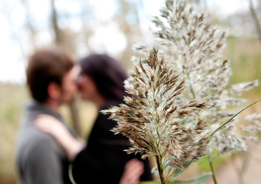 Stephanie & Tristan at Robert H Long Park Commerce Twp MI engagement photography