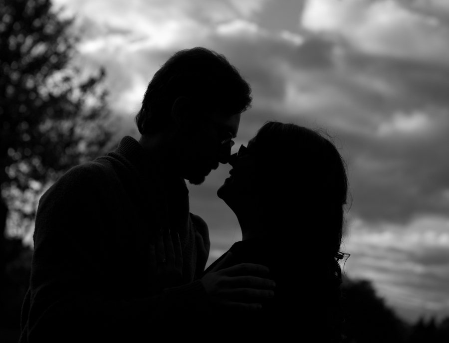 Stephanie & Tristan at Robert H Long Park Commerce Twp MI engagement photography