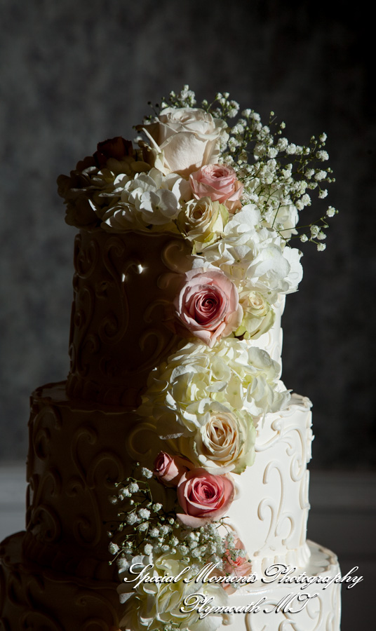 Shahla & Ryan at Dearborn Inn Dearborn M wedding photography