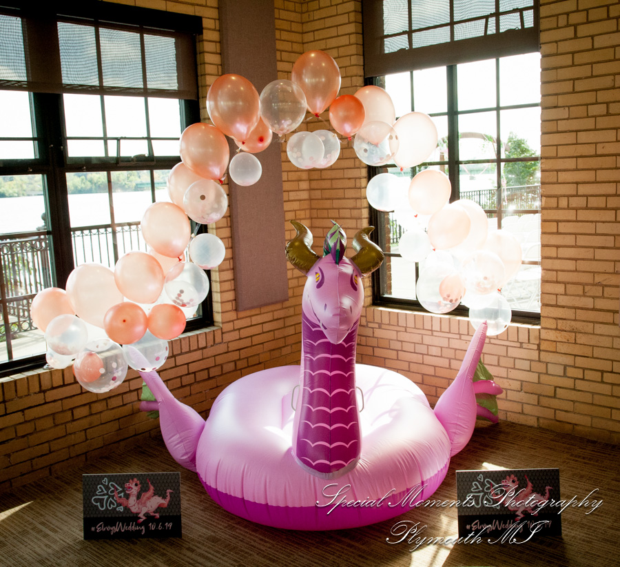 Chateau On The River Trenton MI wedding photograph