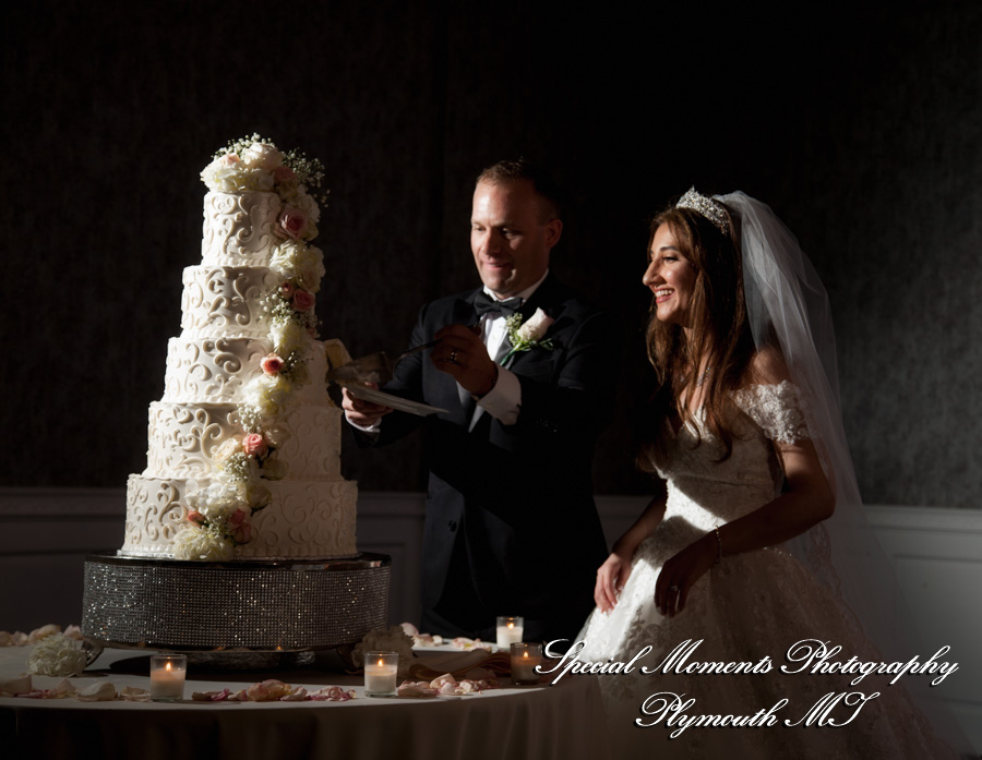 Shahla & Ryan at Dearborn Inn Dearborn M wedding photography