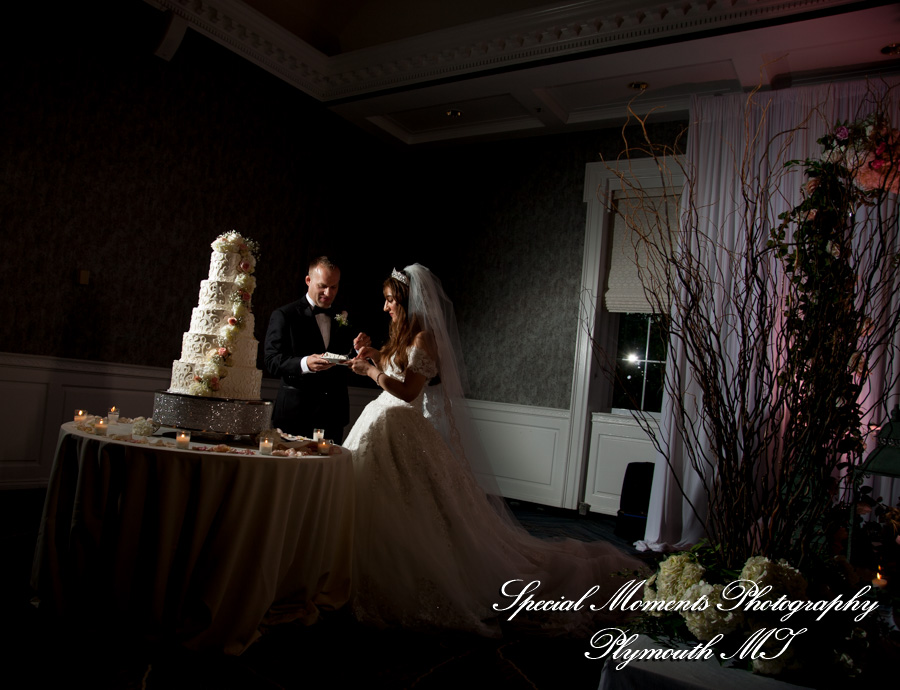 Shahla & Ryan at Dearborn Inn Dearborn M wedding photography