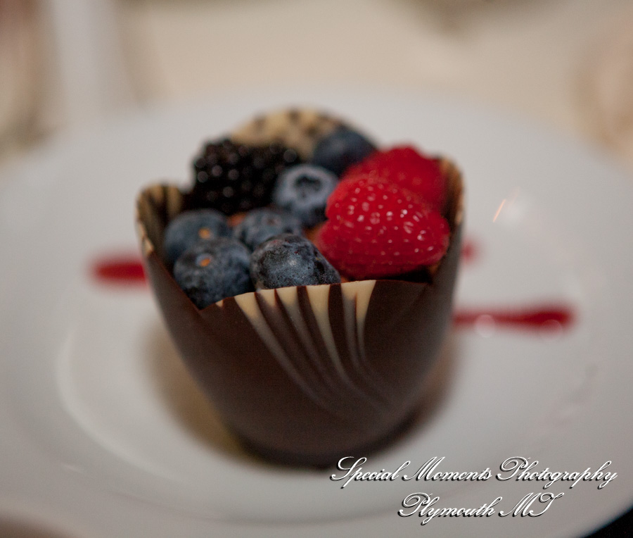 Shahla & Ryan at Dearborn Inn Dearborn M wedding photography