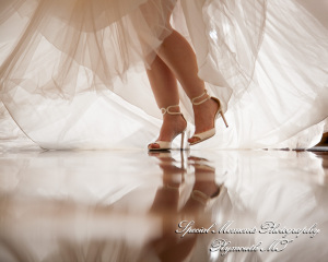 Shahla & Ryan at Dearborn Inn Dearborn M wedding photography