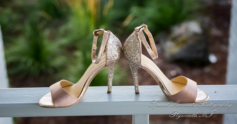 Double Tree Hotel Bloomfield Hills MI wedding photograph