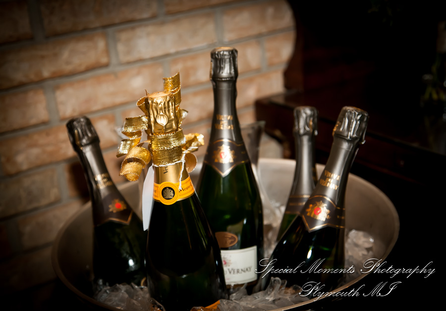 Sally & Elliott at Cafe Cortina Farmington Hills MI wedding photography