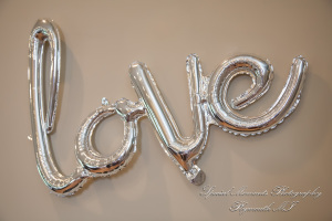 Kelsey & Ryan at Ss. Mary & Joseph Chapel Plymouth MI wedding photography