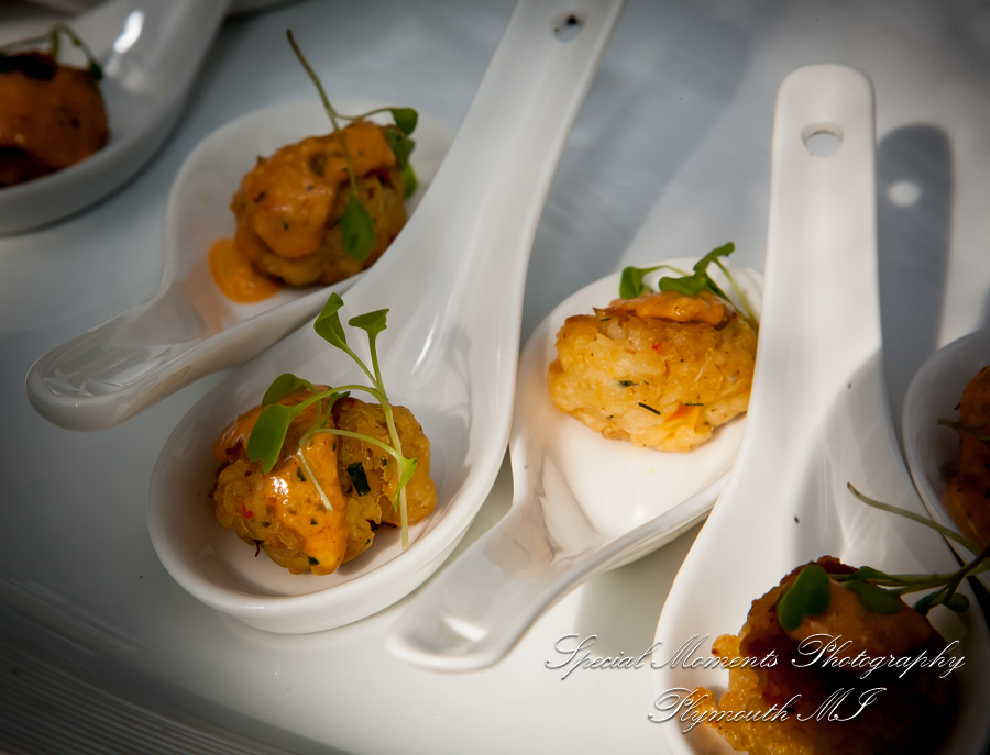 Sally & Elliott at Cafe Cortina Farmington Hills MI wedding photography