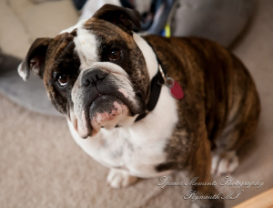 Kelsey & Ryan at Ss. Mary & Joseph Chapel Plymouth MI wedding photography
