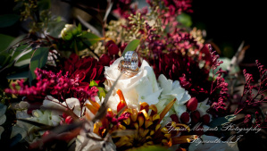 Sally & Elliott at Cafe Cortina Farmington Hills MI wedding photography