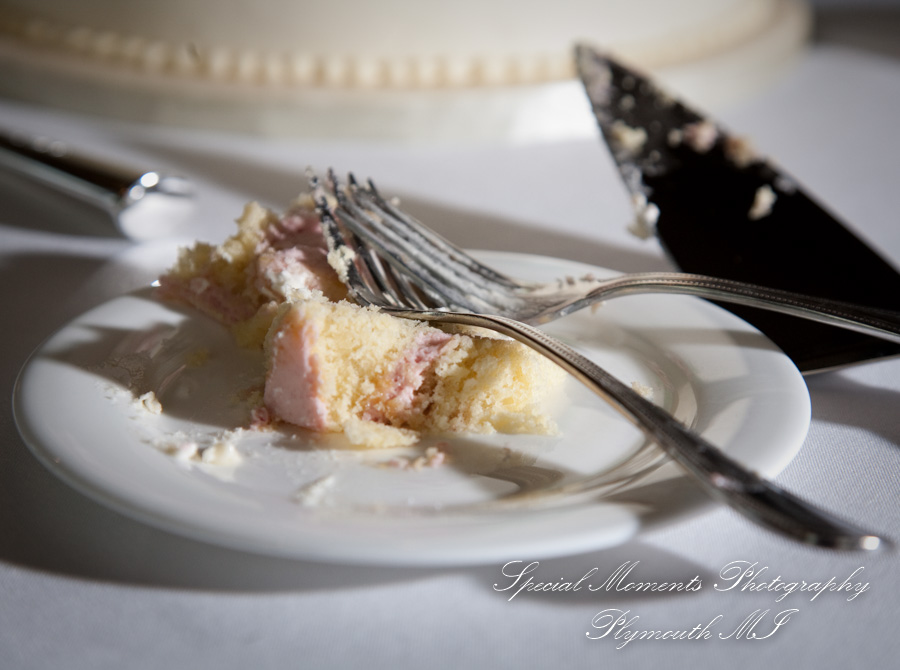 Elizabeth & Scott at St. John’s Resort Provincial Ballroom Plymouth MI wedding photography