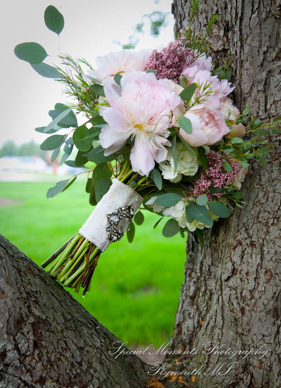Elizabeth & Scott at St. John’s Resort Provincial Ballroom Plymouth MI wedding photography