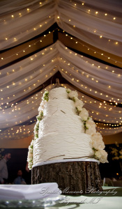 Janelle & Jay at Indianwood Golf & Country Club Lake Orion MI wedding photograph