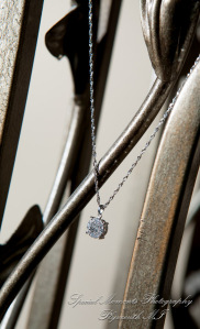 Janelle & Jay at St. Kieran Catholic Church Shelby Twp. MI wedding photograph