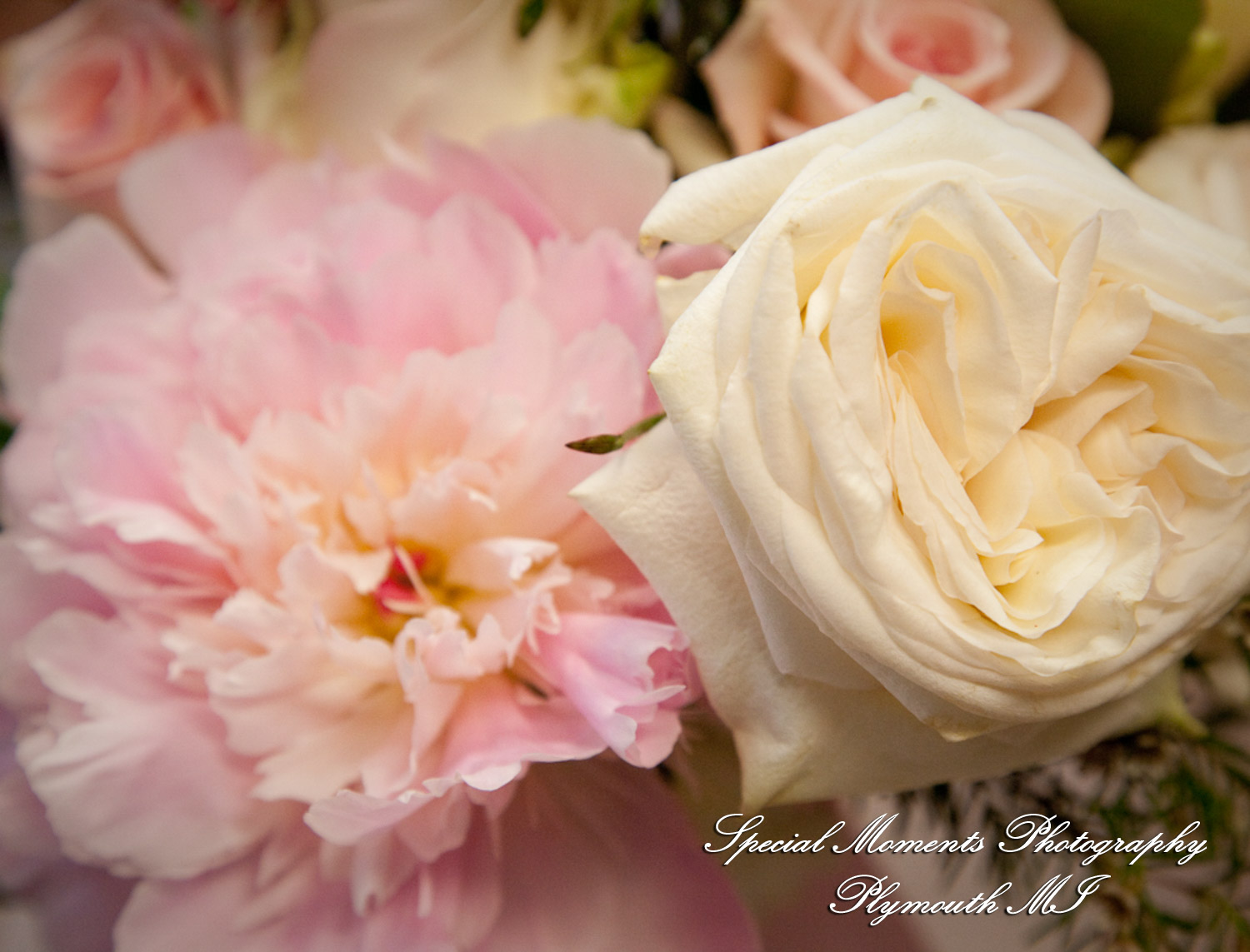 Elizabeth & Scott at First Congregational Church Ann Arbor MI wedding photography