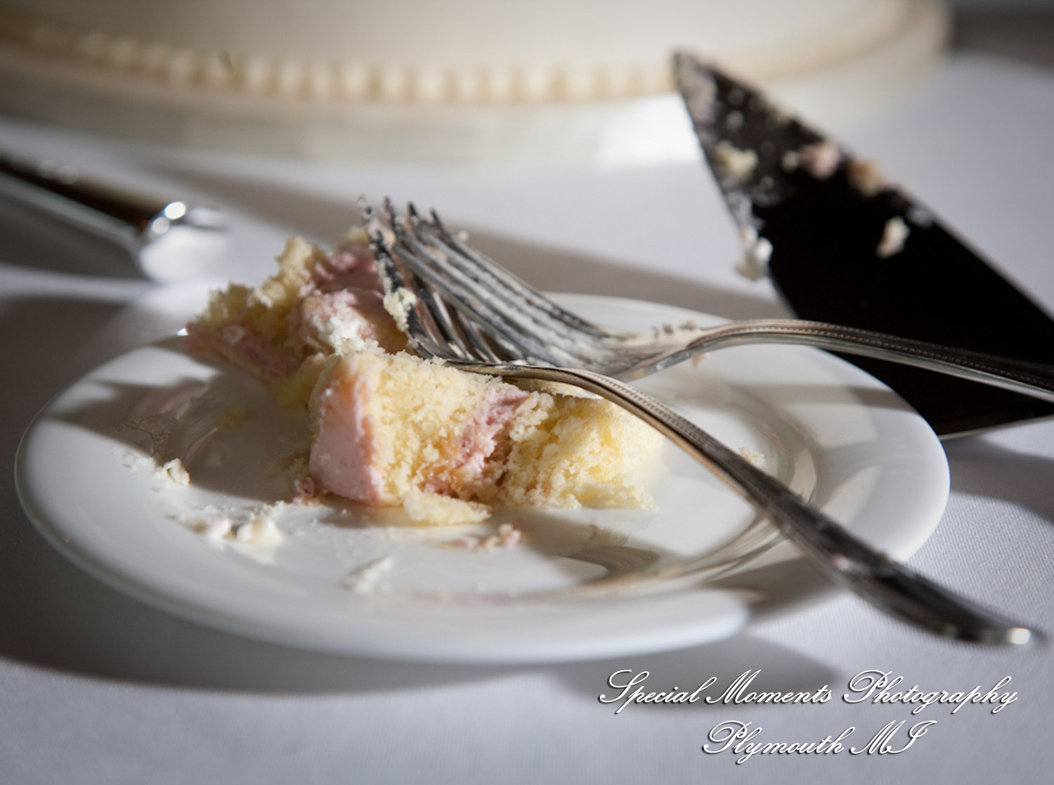 Elizabeth & Scott at St. John's Resort Ballroom Plymouth MI wedding photography