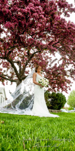 Janelle & Jay at St. Kieran Catholic Church Shelby Twp. MI wedding photograph