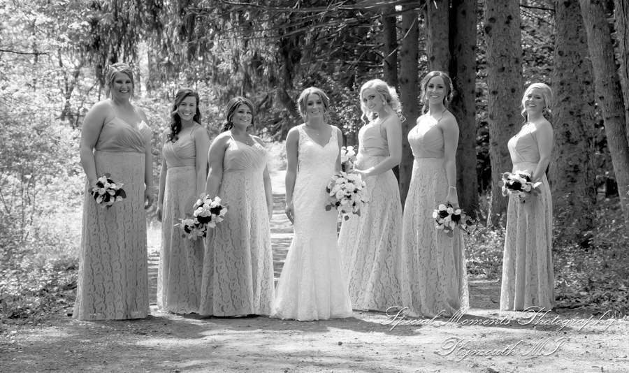 Janelle & Jay at Stony Creek Metropark in Shelby Twp. MI wedding photograph