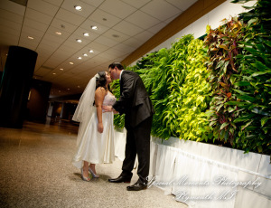 Katherine & Brian at Great Lakes Culinary Center Southfield MI wedding photography