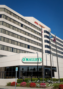 Janine & Yogi at Canterbury Castle Chapel Lake Orion MI wedding photography