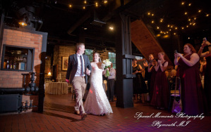 Chandler & Dan at Wellers of Saline MI wedding photography