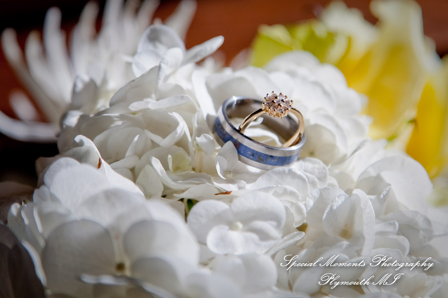 Chandler & Dan at Wellers of Saline MI wedding photography