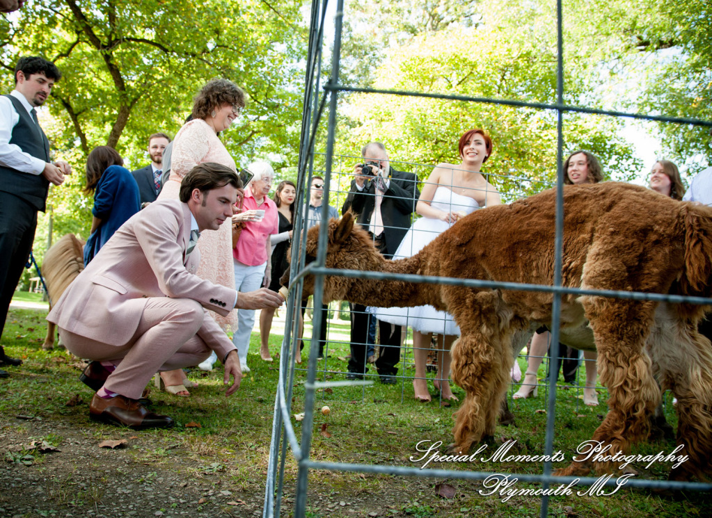 Eliza & Troy at Chateau On The River Trenton MI wedding photography