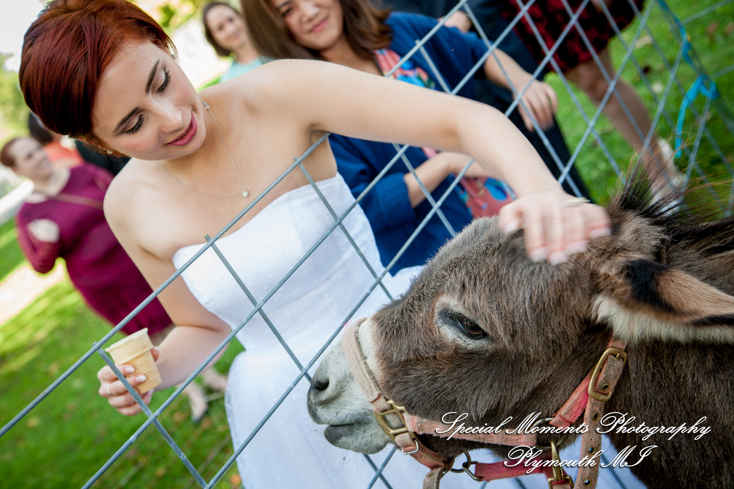 Eliza & Troy at Chateau On The River Trenton MI wedding photography