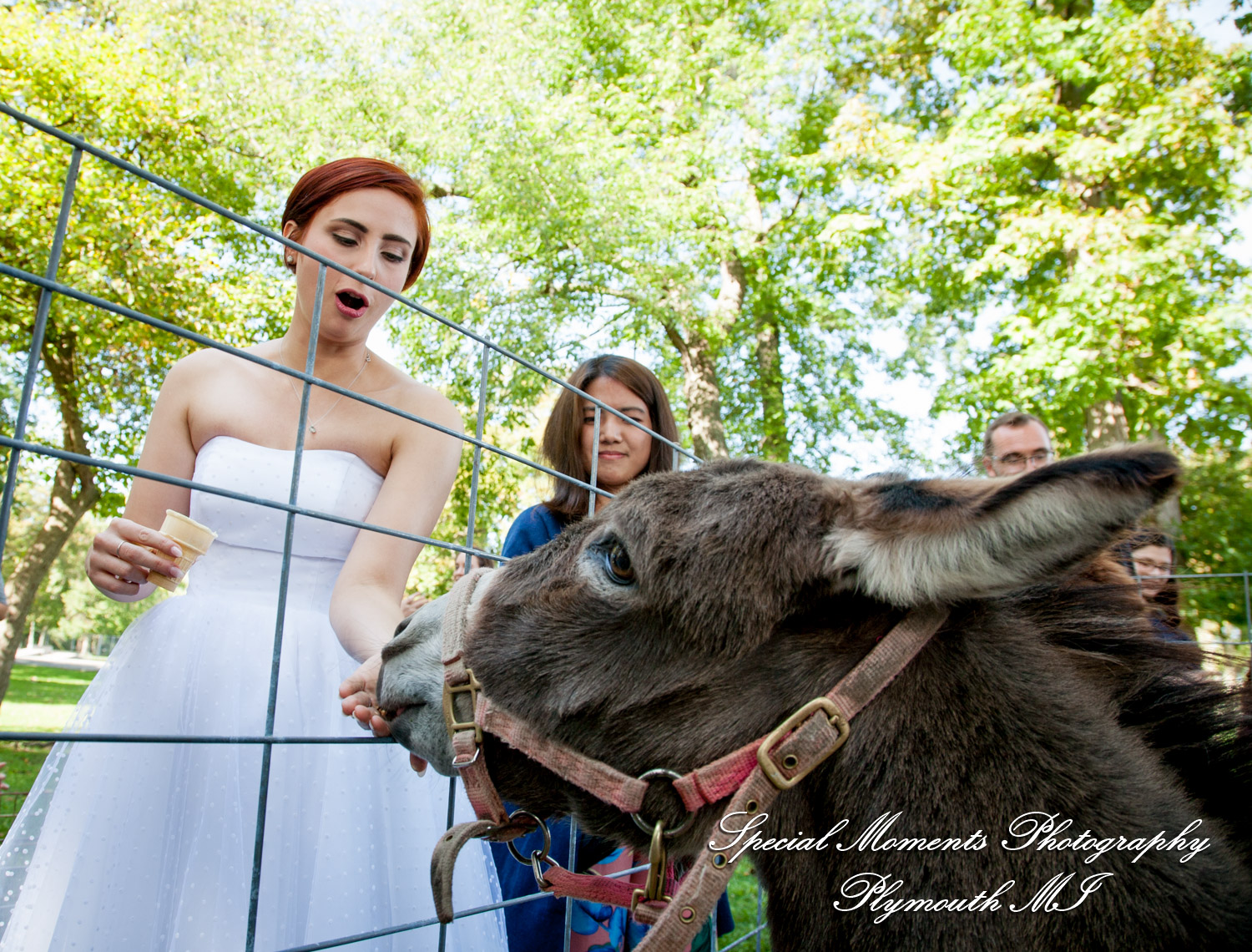 Eliza & Troy at Chateau On The River Trenton MI wedding photography