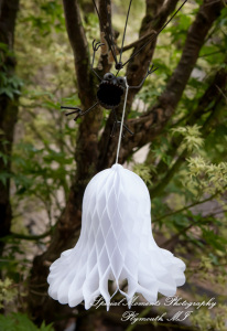 Dawn & Jeff at a backyard Micro wedding in MI wedding photography