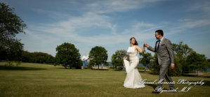 Andrea & Nicholas at Belle Isle Conservatory Detroit MI wedding photography