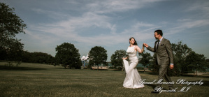 Andrea & Nicholas at Belle Isle Conservatory Detroit MI wedding photography