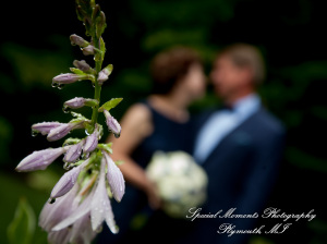 Dawn & Jeff at a backyard Micro wedding in MI wedding photography