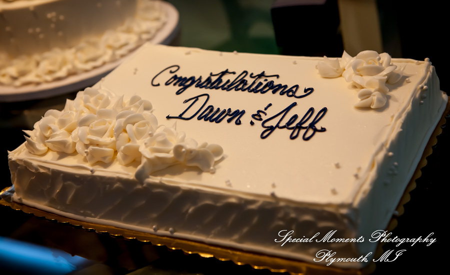 Dawn & Jeff at a backyard Micro wedding in MI wedding photography