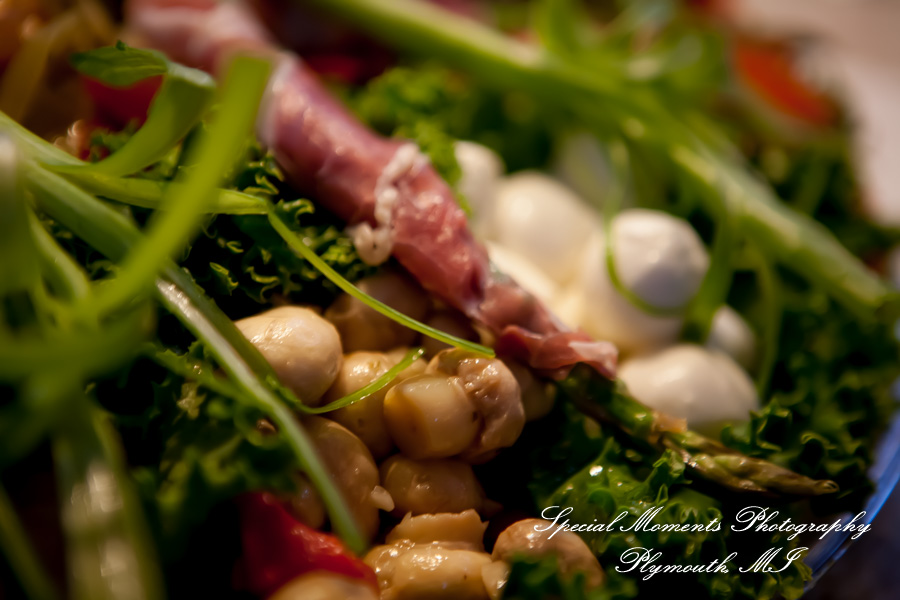 Dawn & Jeff at a backyard Micro wedding in MI wedding photography