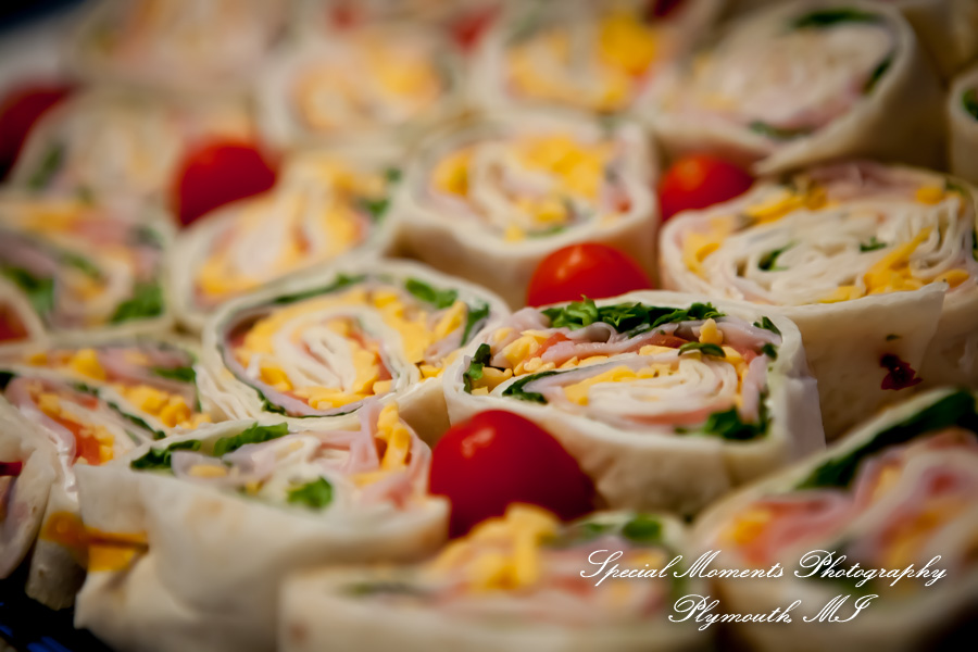 Dawn & Jeff at a backyard Micro wedding in MI wedding photography