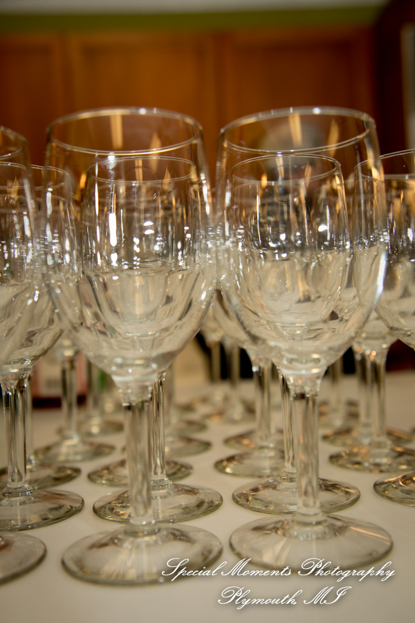 Andrea & Nicholas at Detroit Historical Museum Detroit MI wedding photography