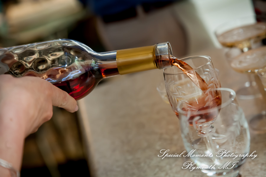 Dawn & Jeff at a backyard Micro wedding in MI wedding photography