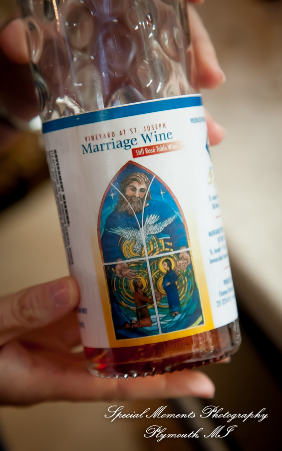 Dawn & Jeff at a backyard Micro wedding in MI wedding photography