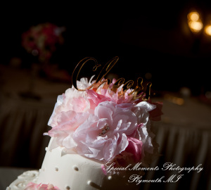 Reagan & Logan at Bentley Banquet Center Wyandotte MI wedding photography
