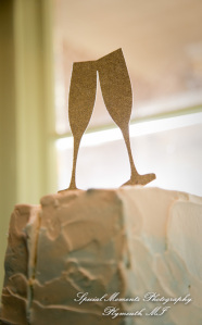 Andrea & Nicholas at Detroit Historical Museum Detroit MI wedding photography