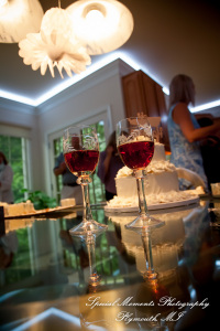 Dawn & Jeff at a backyard Micro wedding in MI wedding photography