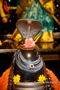 Laavanya & Varun at The Hindu Temple Canton MI wedding photography