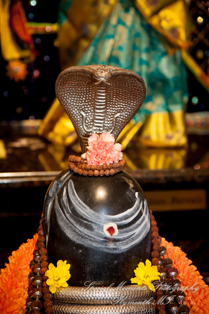 Laavanya & Varun at The Hindu Temple Canton MI wedding photography