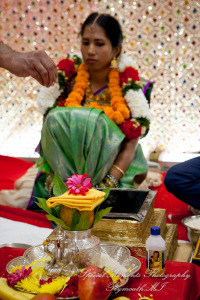 Laavanya & Varun at The Hindu Temple Canton MI wedding photography
