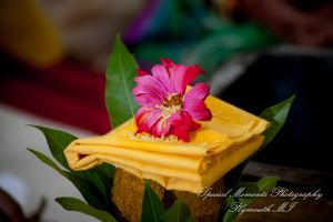 Laavanya & Varun at The Hindu Temple Canton MI wedding photography