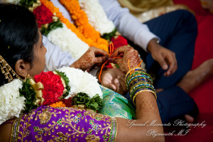 Laavanya & Varun at The Hindu Temple Canton MI wedding photography