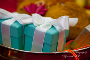 Laavanya & Varun at The Hindu Temple Canton MI wedding photography