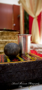 Laavanya & Varun at The Hindu Temple Canton MI wedding photography