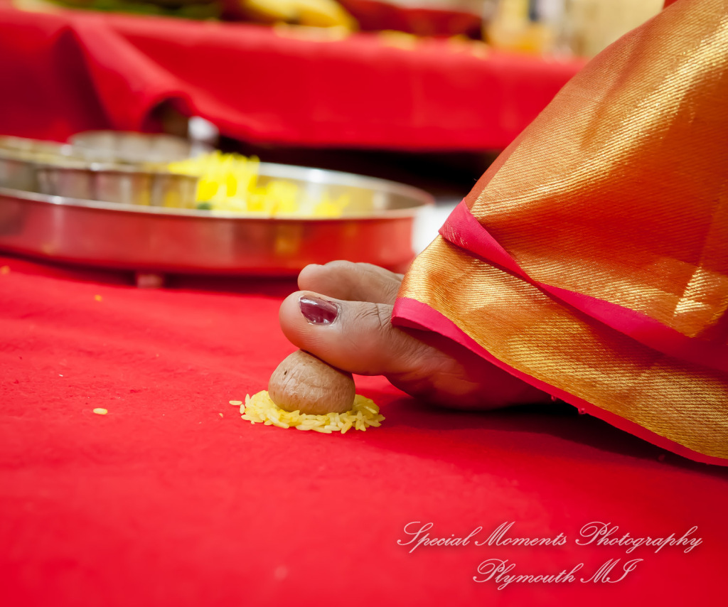 Laavanya & Varun at The Hindu Temple Canton MI wedding photography